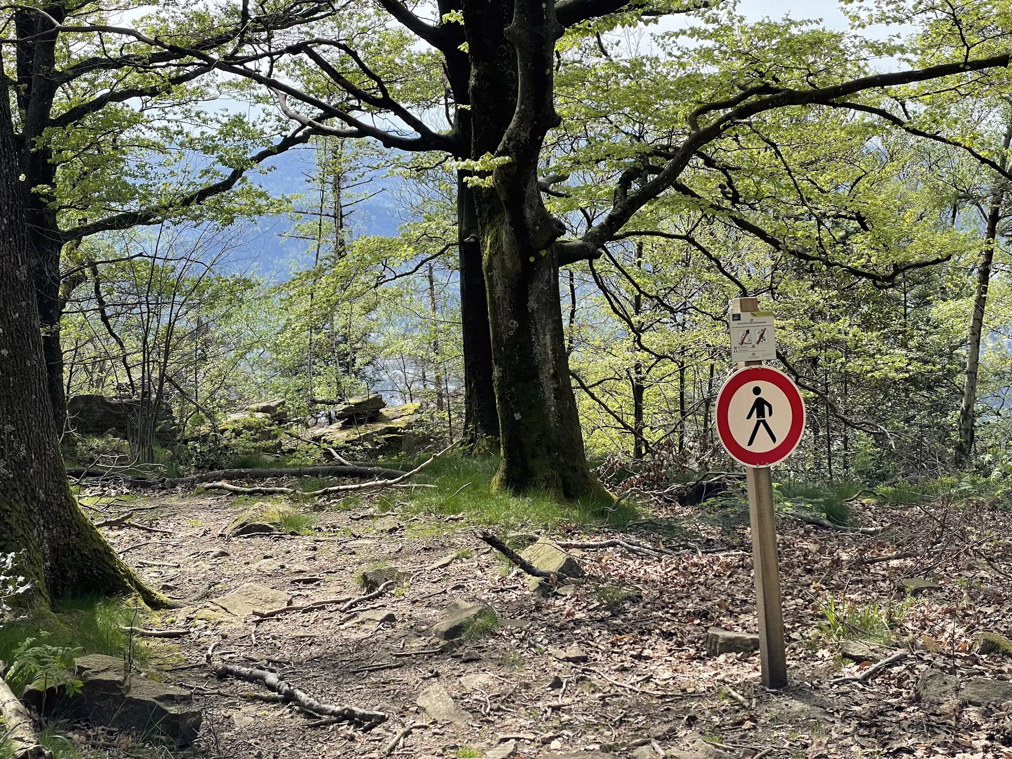 Exploring the Joys of Day Hiking: A Beginner’s Guide